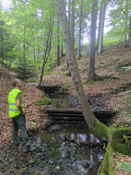 Rekognoskácia v k. ú. Vysoká nad Kysucou – 2